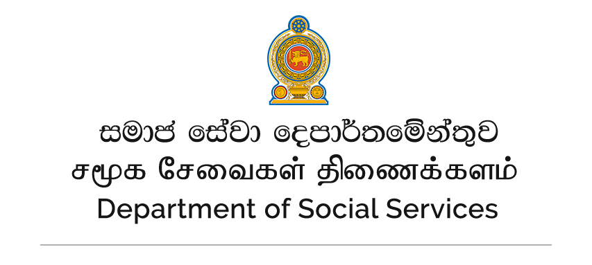 department of social services